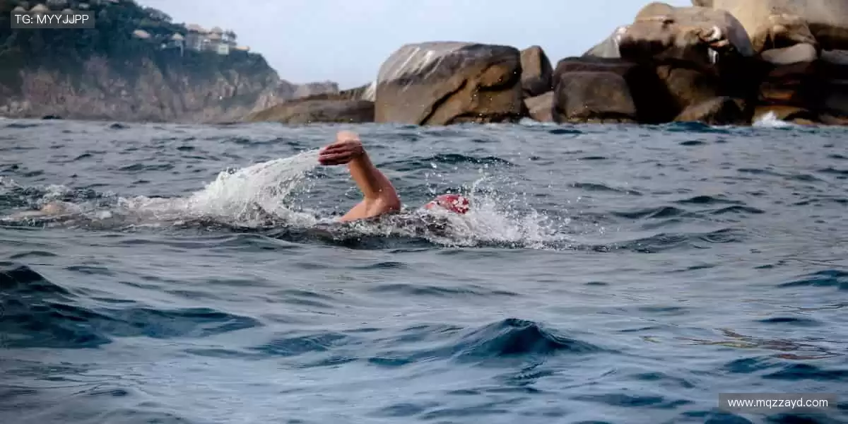🏀 体育社区,球迷家园!分享你的激情,结交同好👥💬